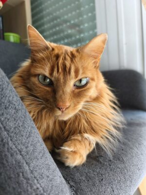 Manolo - Head of Platform Engineering